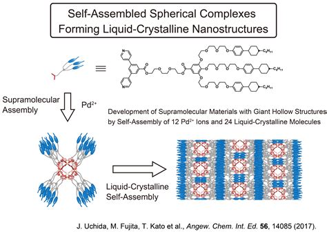  Liquid Crystal Polymers - A Versatile Material for High-Performance Applications!